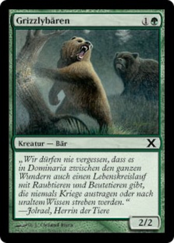 Grizzlybären