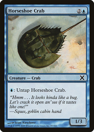 Horseshoe Crab image