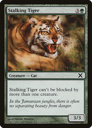 Stalking Tiger image