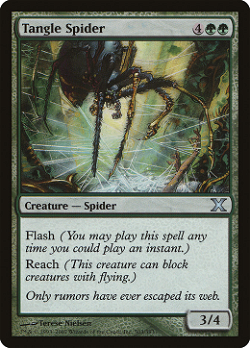 Tangle Spider image