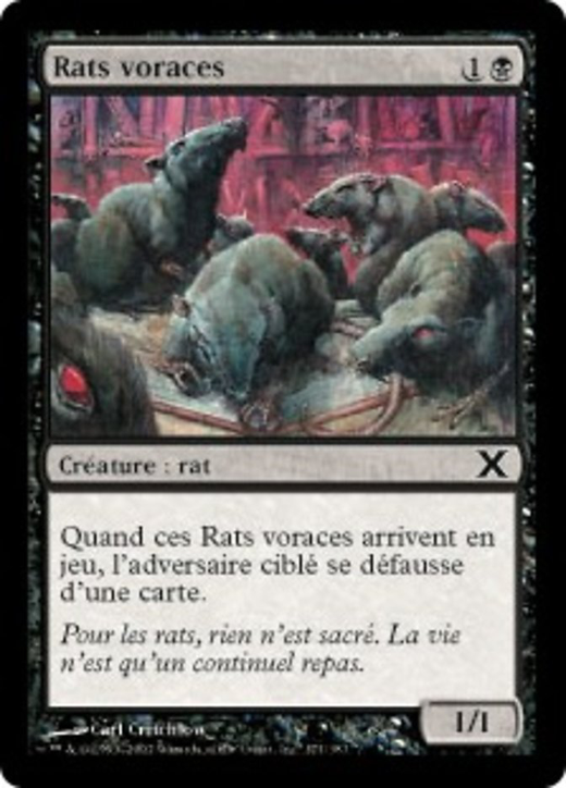 Ravenous Rats Full hd image