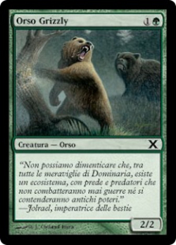 Orso Grizzly image