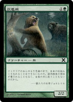 灰色熊 image