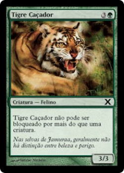 Tigre Caçador image