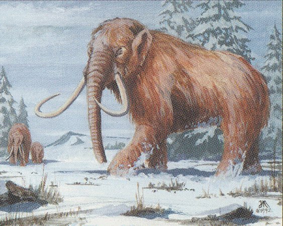 War Mammoth Crop image Wallpaper