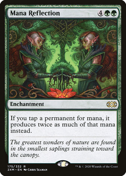 Mana Reflection image