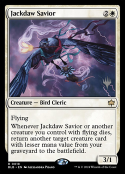 Jackdaw Savior image