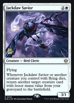 Jackdaw Savior