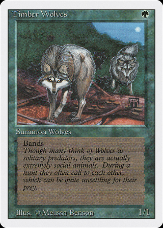 Timber Wolves image