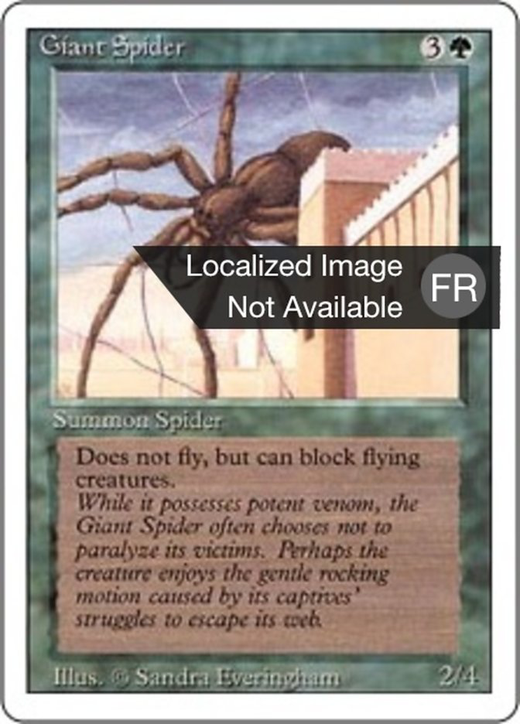 Araignée géante image