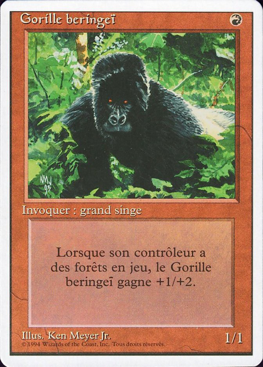 Gorille beringeï image