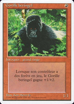 Gorille beringeï