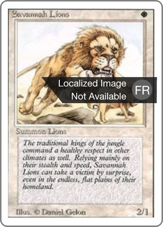 Lions des savanes image