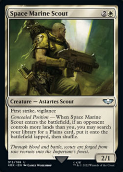 Space Marine Scout image