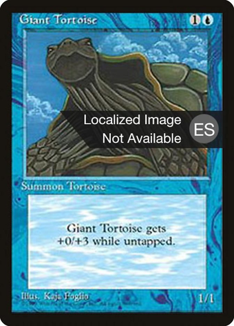 Giant Tortoise Full hd image