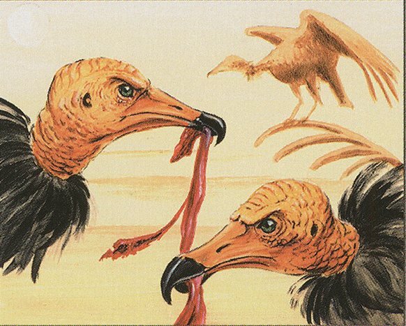 Osai Vultures Crop image Wallpaper