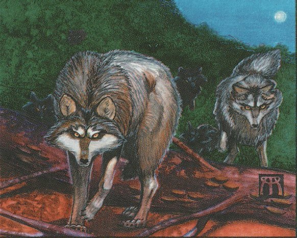 Timber Wolves Crop image Wallpaper