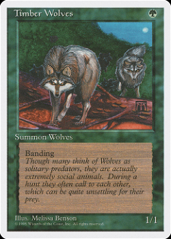 Волки лесов image