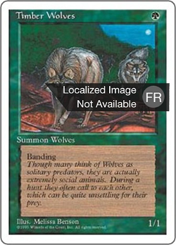 Loups des forêts image