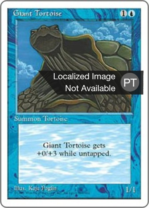 Tartaruga Gigante image