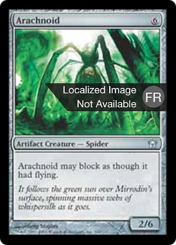 Arachnoïde image
