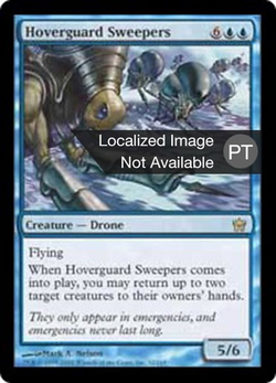 Hoverguard Sweepers image