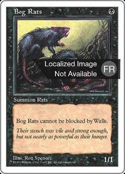 Rats des marécages image
