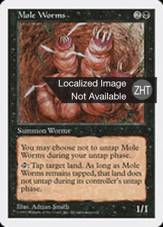 Mole Worms Full hd image