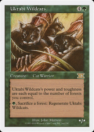 Uktabi Wildcats image