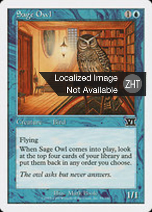 Sage Owl image