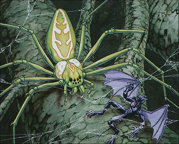 Canopy Spider Crop image Wallpaper