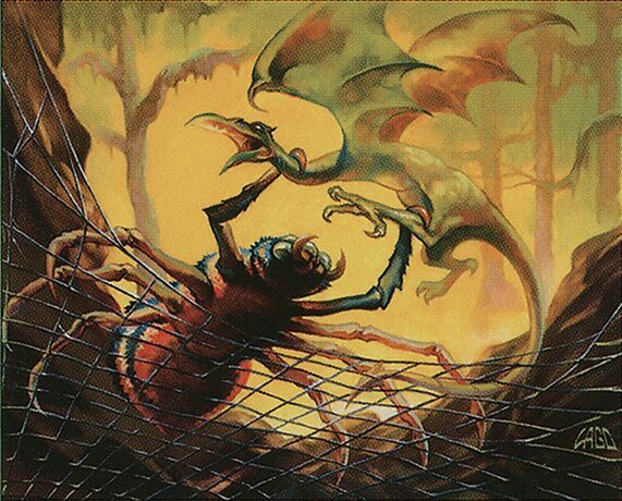 Giant Spider Crop image Wallpaper