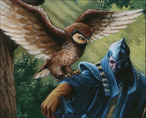Sage Owl Crop image Wallpaper