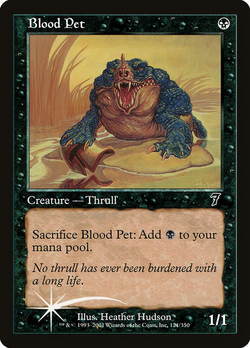 Blood Pet image