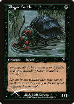 Plague Beetle image