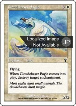雲を追う鷲 image