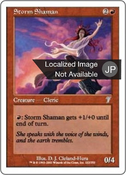嵐のシャーマン image