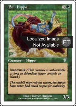 Hipopótamo Macho