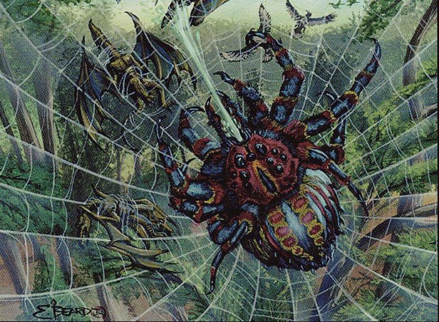 Spitting Spider Crop image Wallpaper