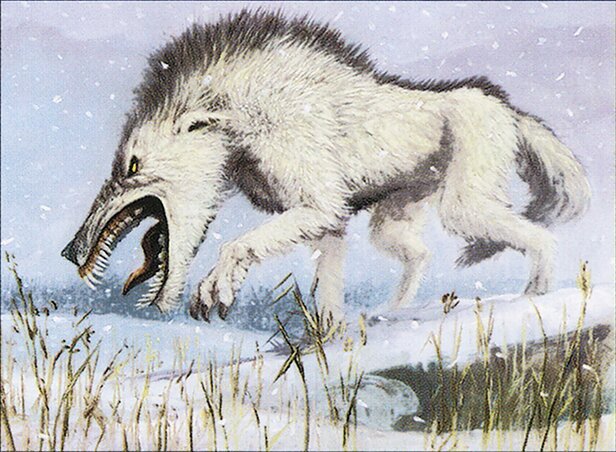 Tundra Wolves Crop image Wallpaper