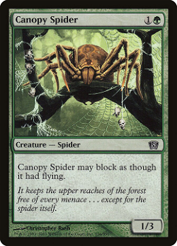 Canopy Spider image