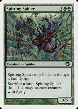 Spitting Spider image
