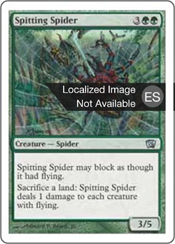 Spitting Spider image