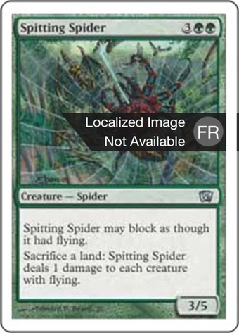 Spitting Spider Full hd image