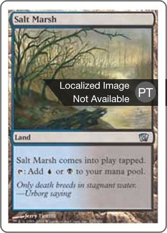 Salt Marsh Full hd image