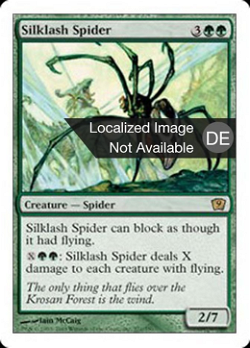 Seidenpeitschen-Spinne
