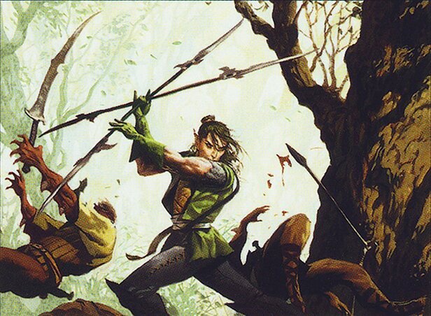 Elvish Warrior Crop image Wallpaper