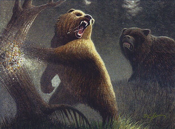 Grizzly Bears Crop image Wallpaper