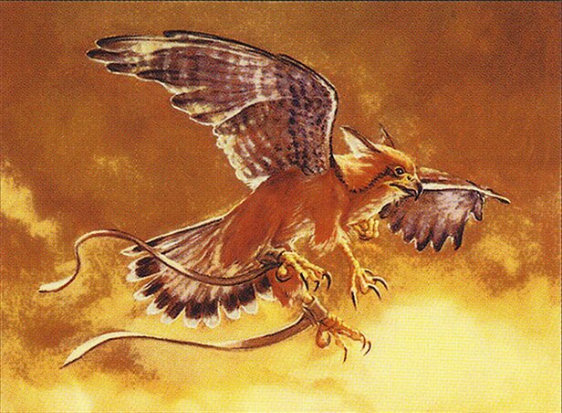 Suntail Hawk Crop image Wallpaper