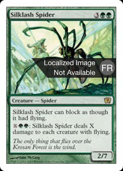 Araignée fouettesoie image